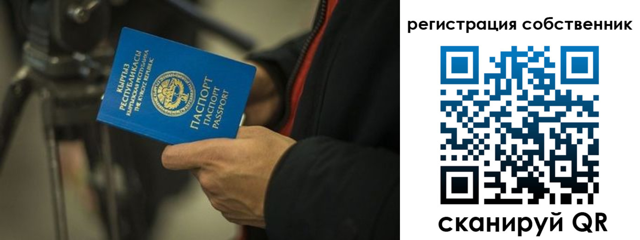 временная регистрация поиск в Курчатове