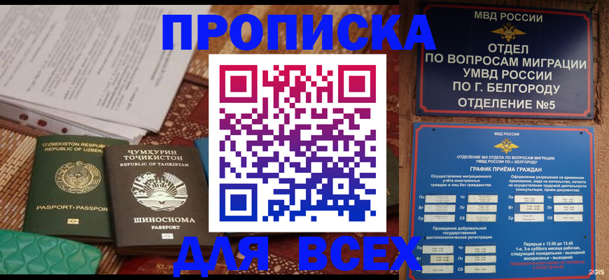 прописка для школы в Курчатове